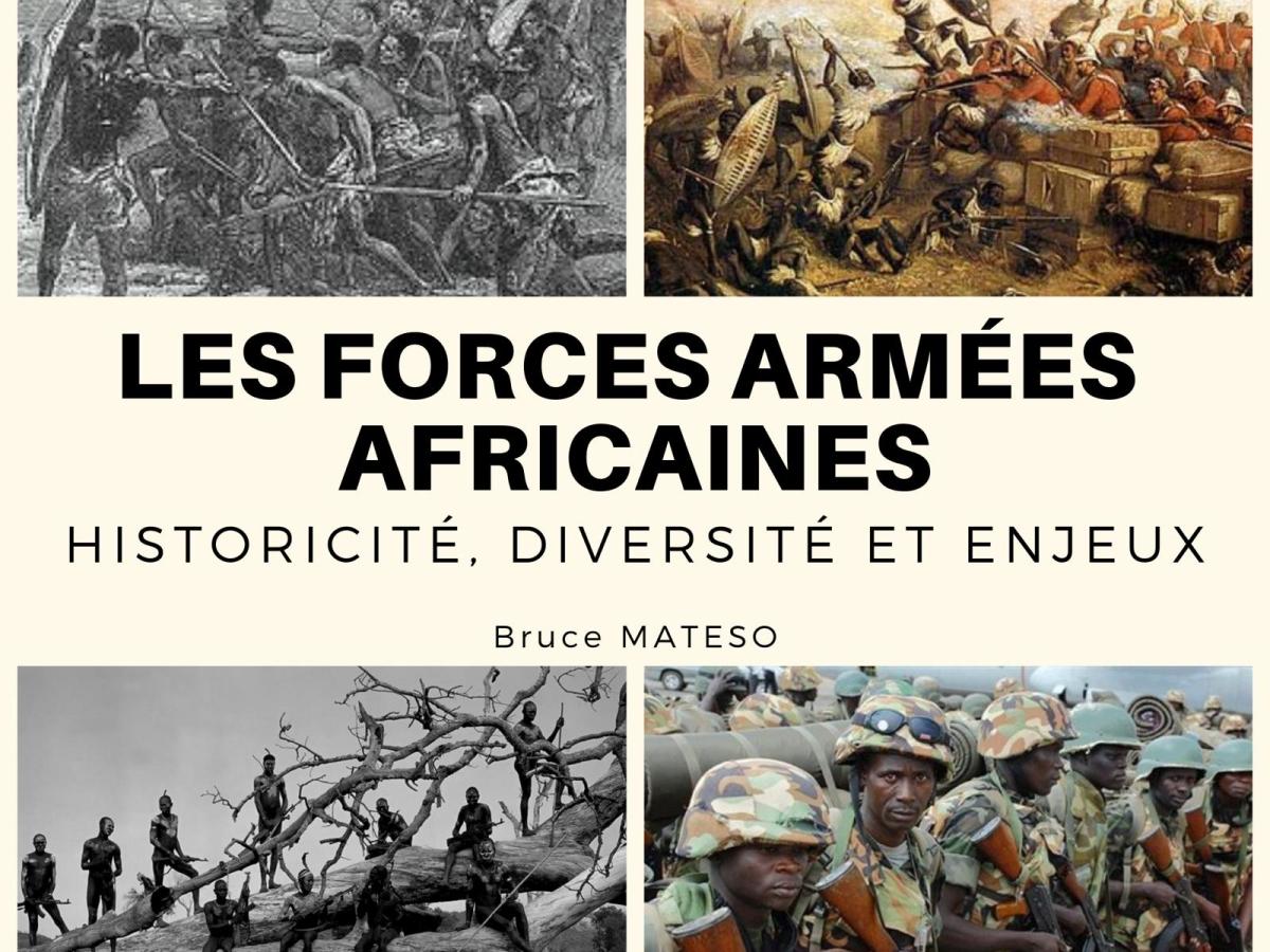 Les Forces armées africaines : historicité, diversité et enjeux