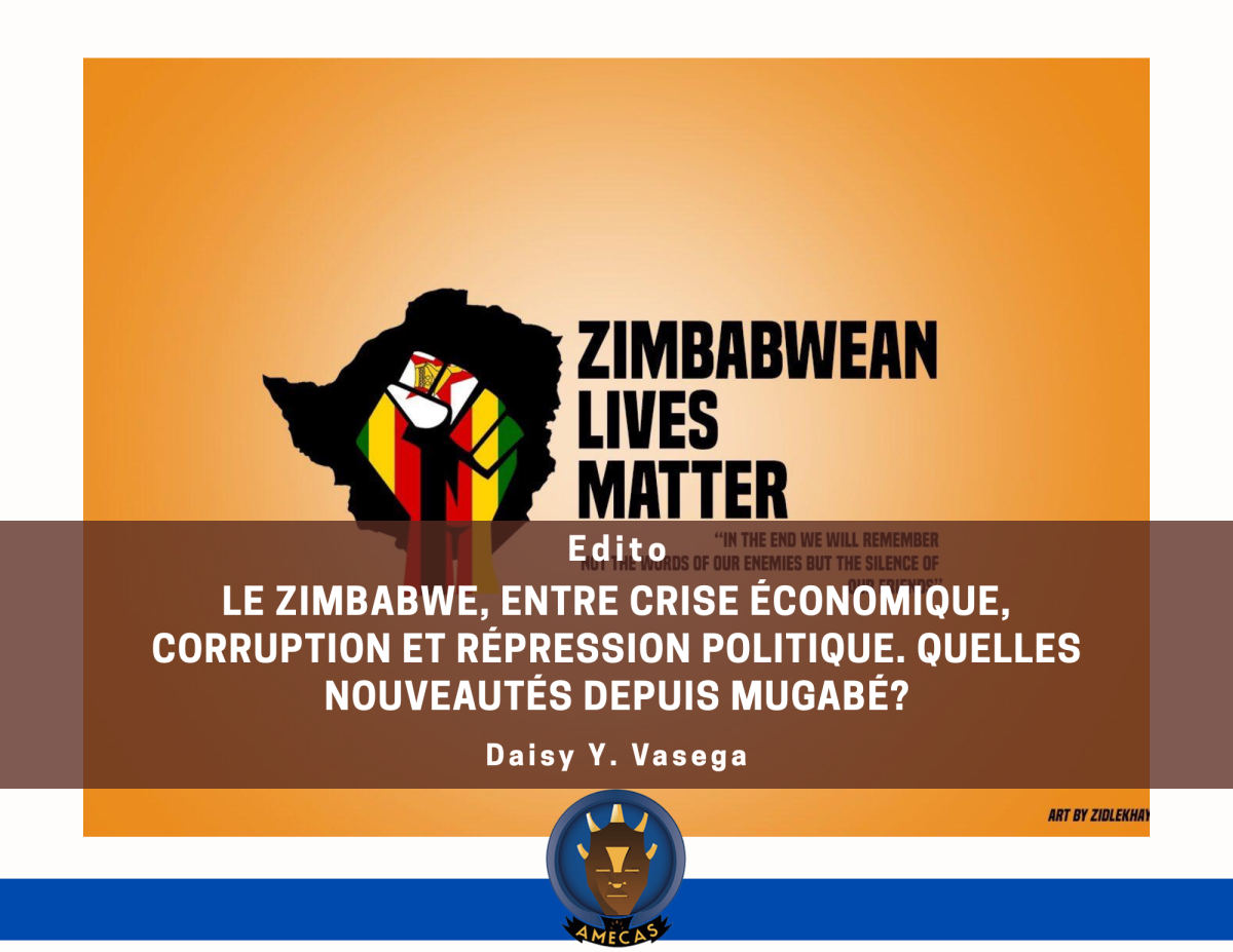 Le Zimbabwe, entre crise économique, corruption et répression politique. Quelles nouveautés depuis Mugabé?